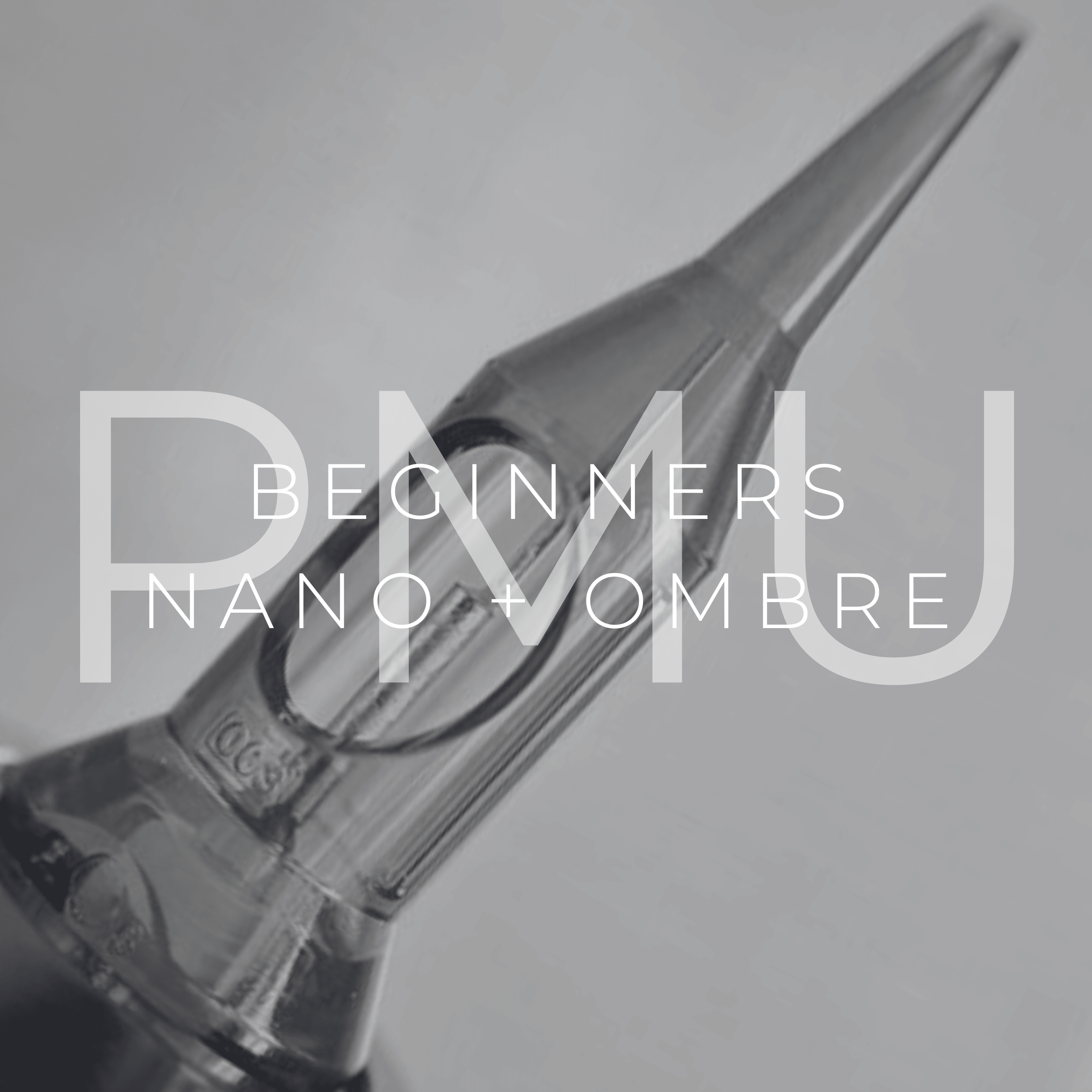 Beginners permanent makeup nano realism and ombre brow in person training in Martinez, CA