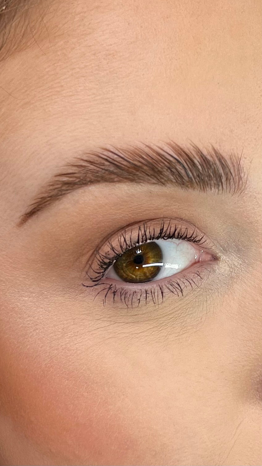brow lamination, brow tint, and eyebrow wax